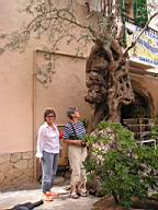 Resize of P1012076.JPG